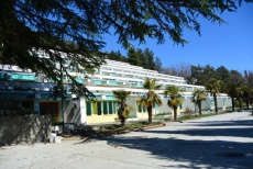 Chaika crimea 